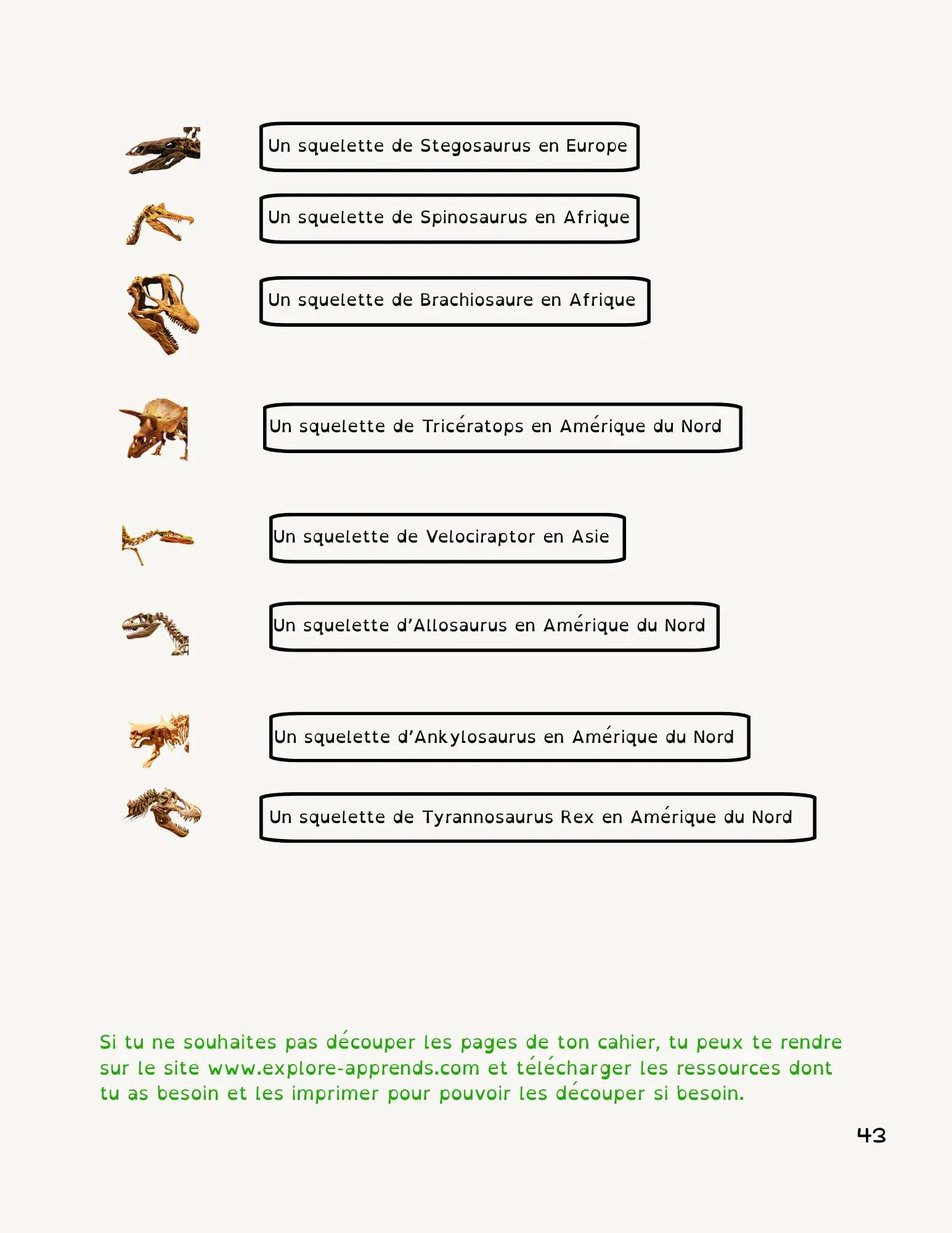 Page 43